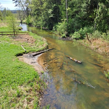 Podlaska Chata Augustów Extérieur photo